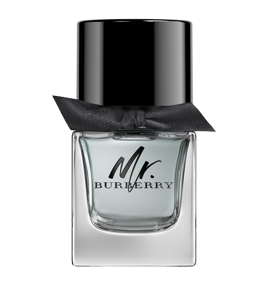 Mr. Burberry Eau de Toilette (50ml) NO COLOUR Image 1