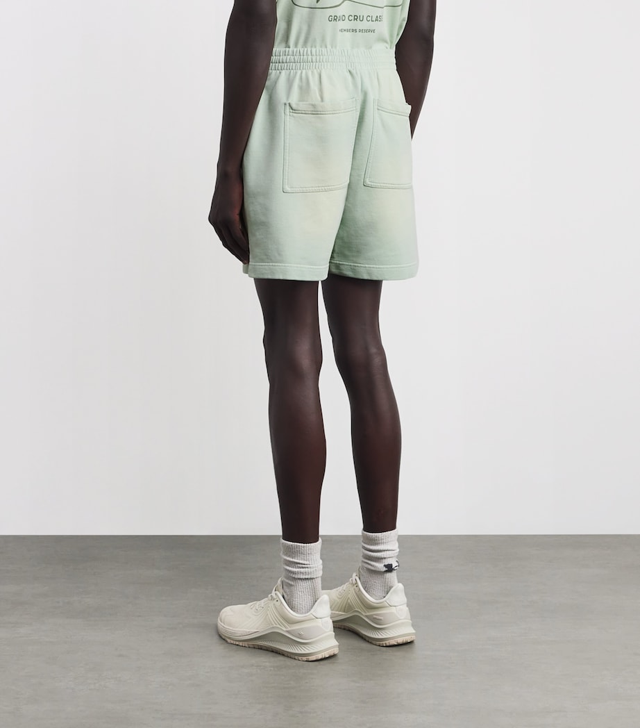 Grand Vintage Shorts WASHED SAGE Image 4