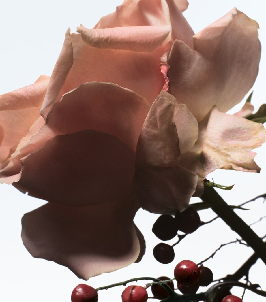 DRIES VAN NOTEN Raving Rose Eau de Parfum (200ml) - Refill Image 5