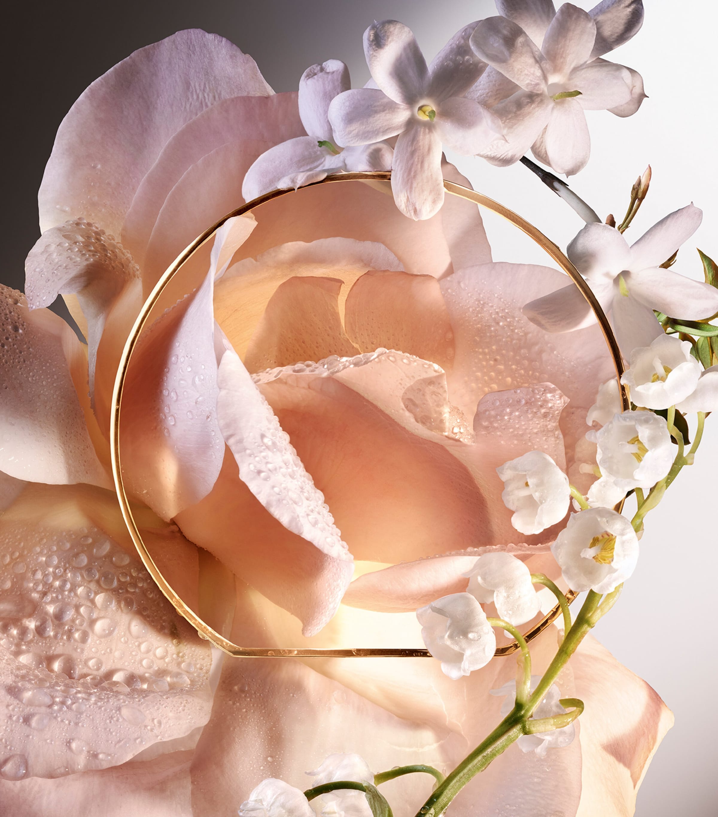 Absolue 6AM Rose Eau de Parfum (50ml) NO COLOUR Image 4