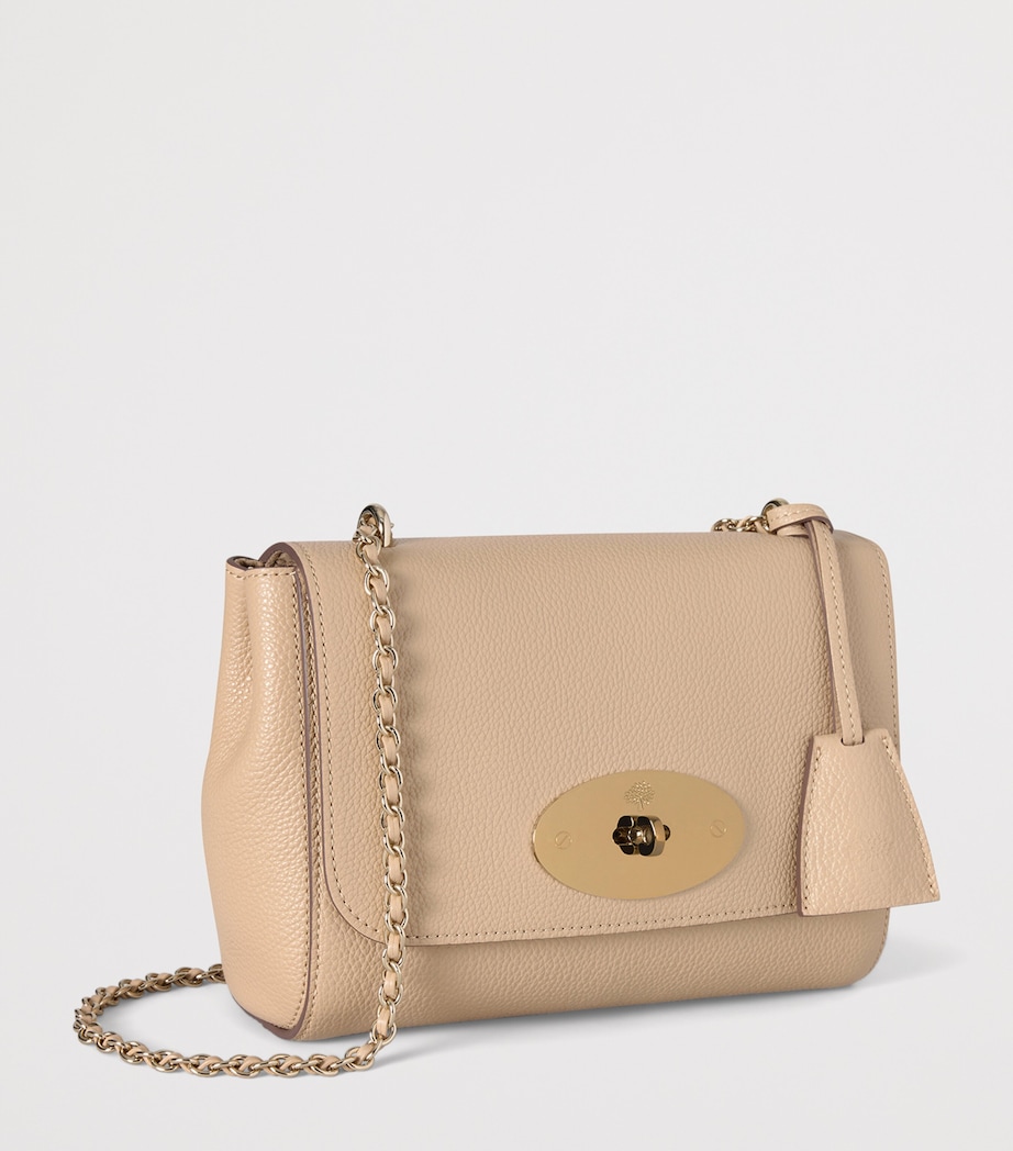 Small Leather Lily Shoulder Bag CRUMPET Image 2