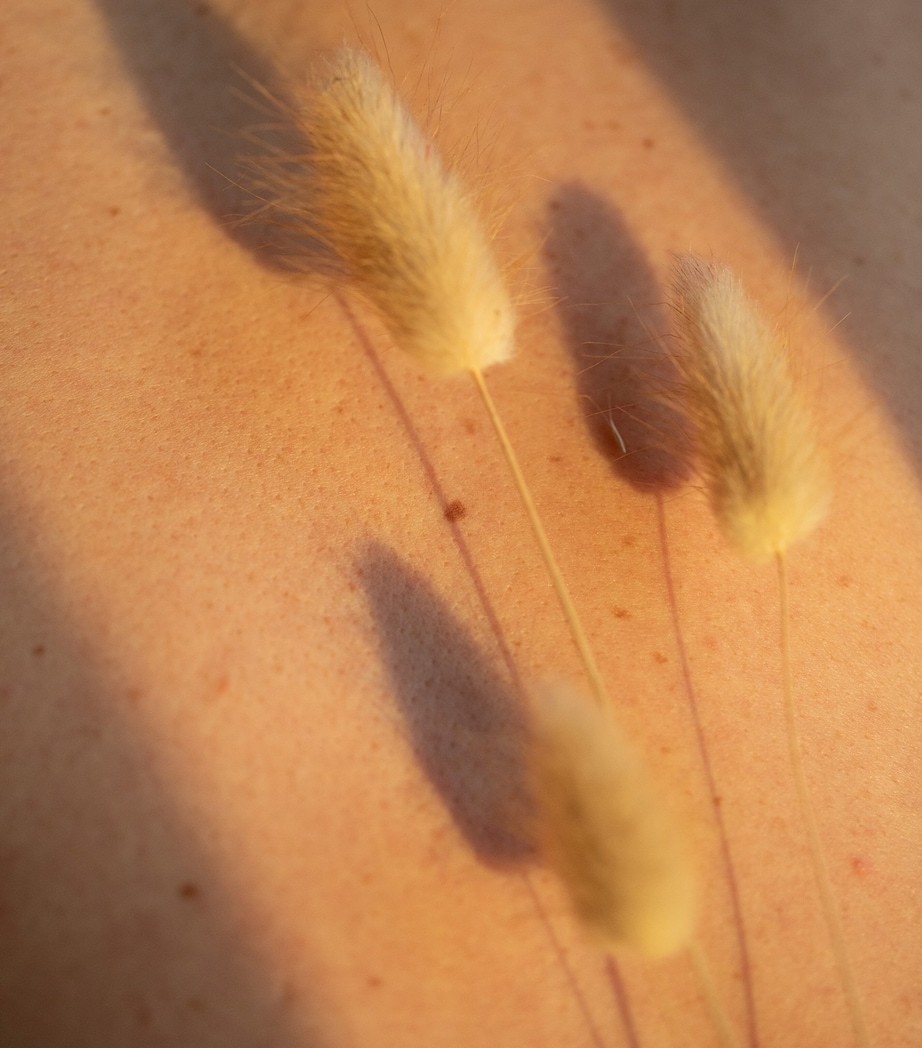 Papyrus Moléculaire Eau de Parfum (30ml) NO COLOUR Image 5