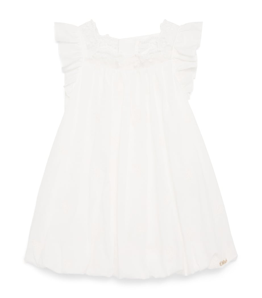 Chloé Kids Embroidered Ceremony Dress (6-36 Months) Image 1