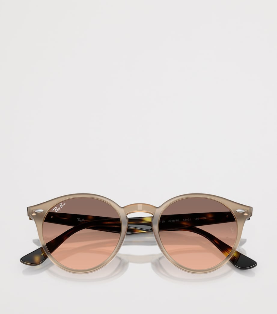 Ray-Ban Propionate Round Sunglasses Beige Image 5