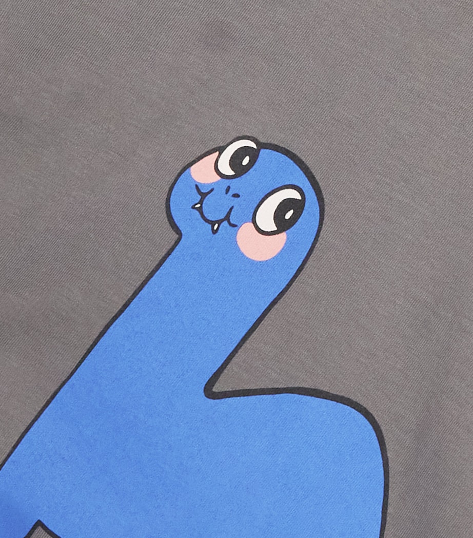 Organic Cotton Dino Graphic T-Shirt (3-11 Years) GREY Image 3