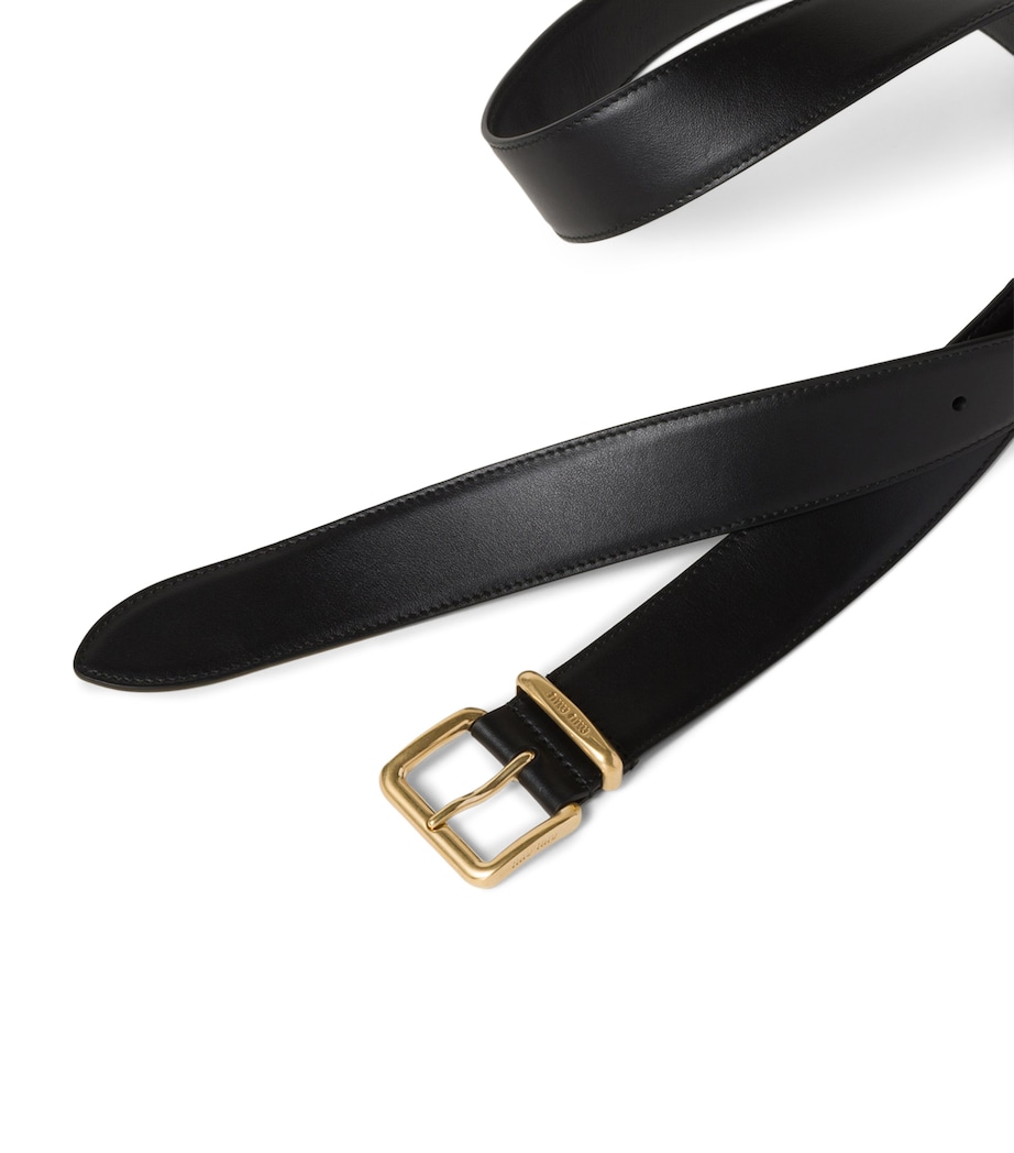 Leather Belt F0002 Image 3