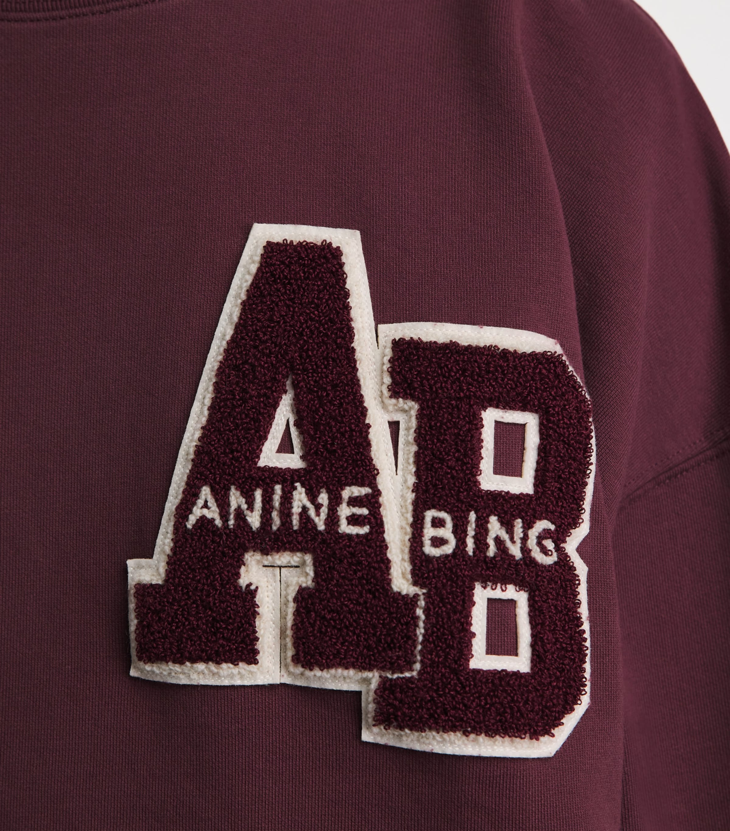 ANINE BING Womens Oversized Miles Letterman Sweatshirt Fig Image 3