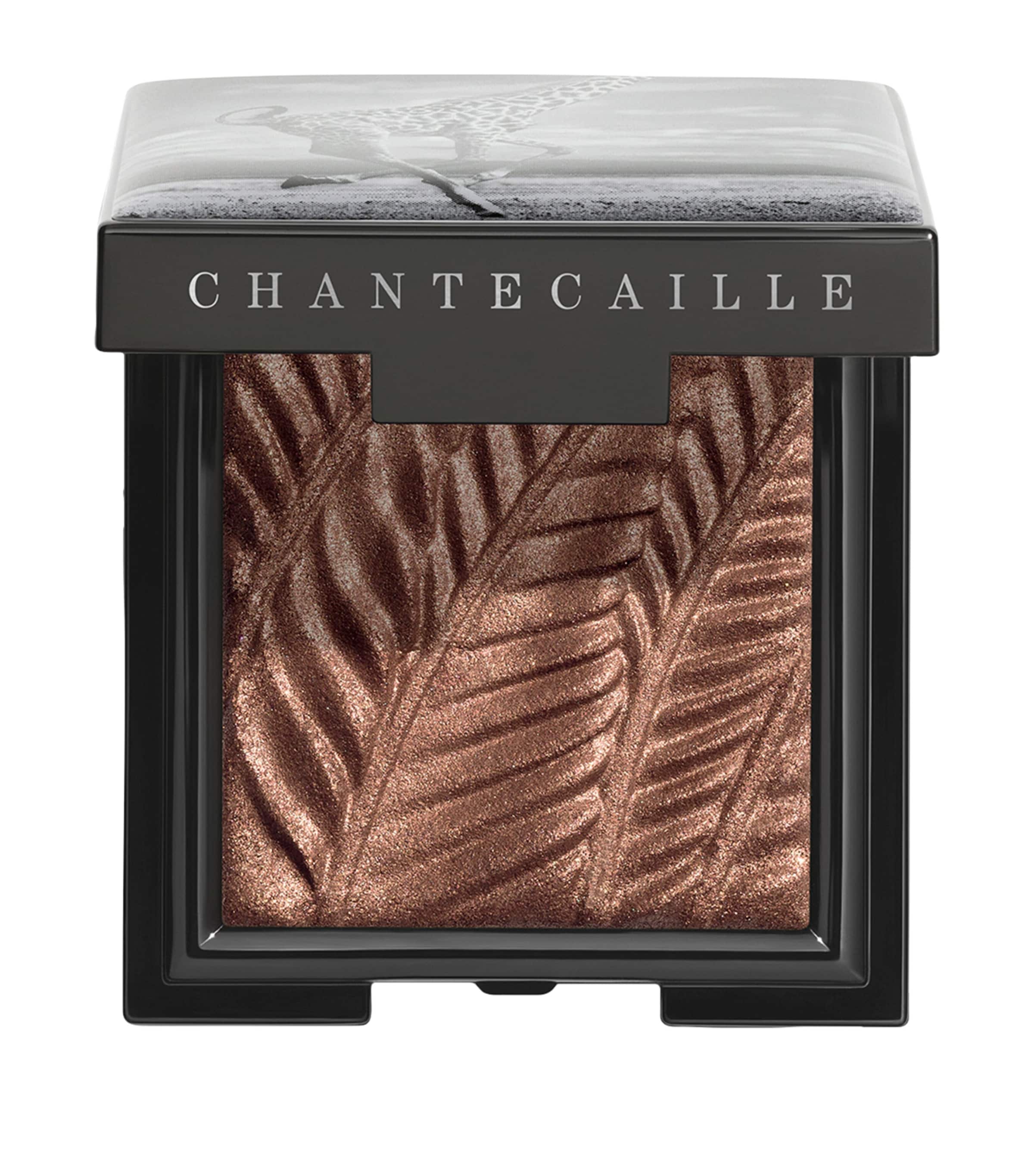 Chantecaille Giraffe Luminous Eye Shade In Brown