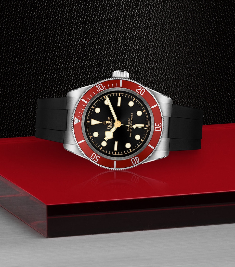 TUDOR Stainless Steel Black Bay Watch 41mm Black Image 6
