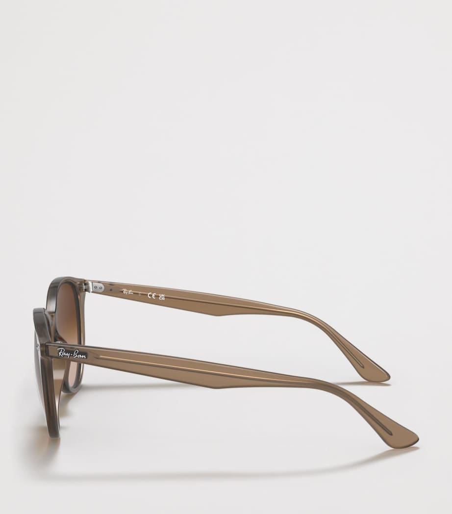 Ray-Ban Acetate Phantos Round Sunglasses Image 3