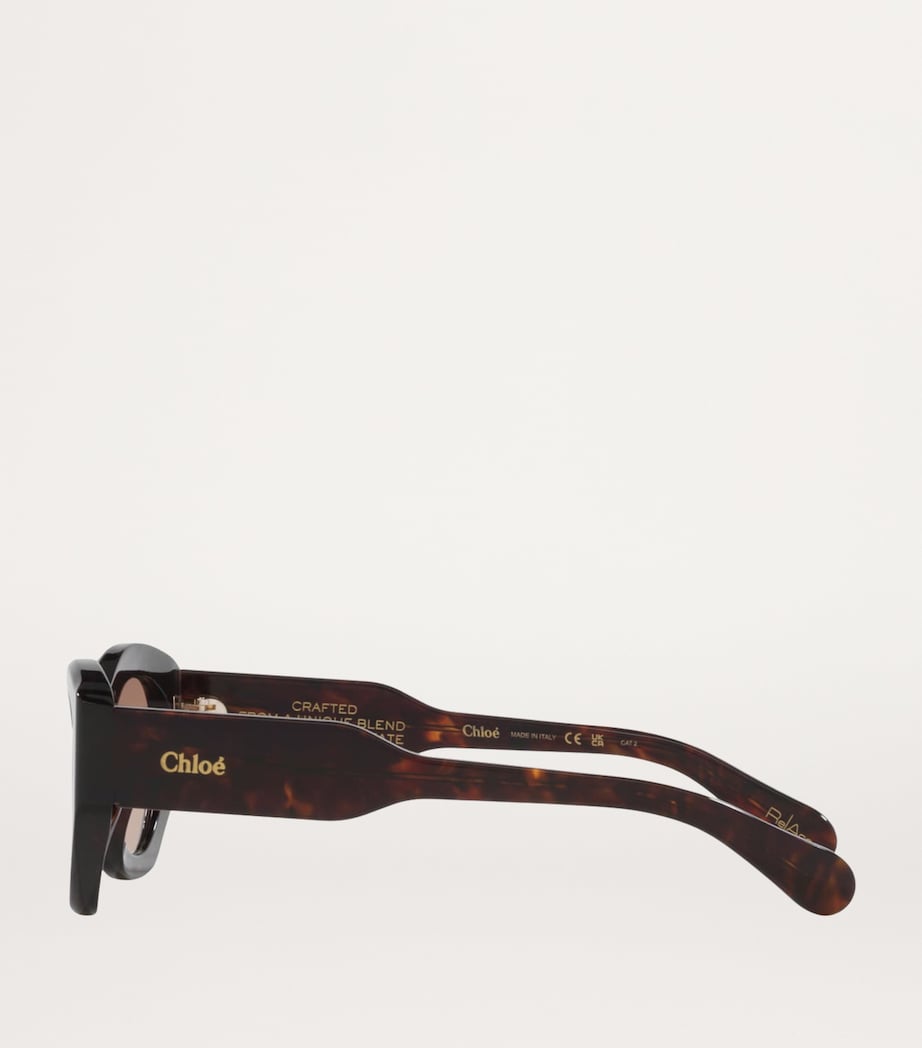 Acetate CH0220S Sunglasses 4510D1 Image 3