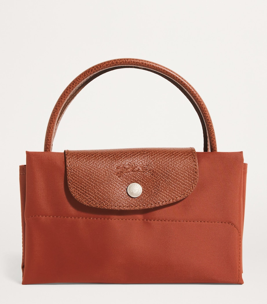 Medium Le Pliage Green Tote Bag 404 CHESTNUT Image 4