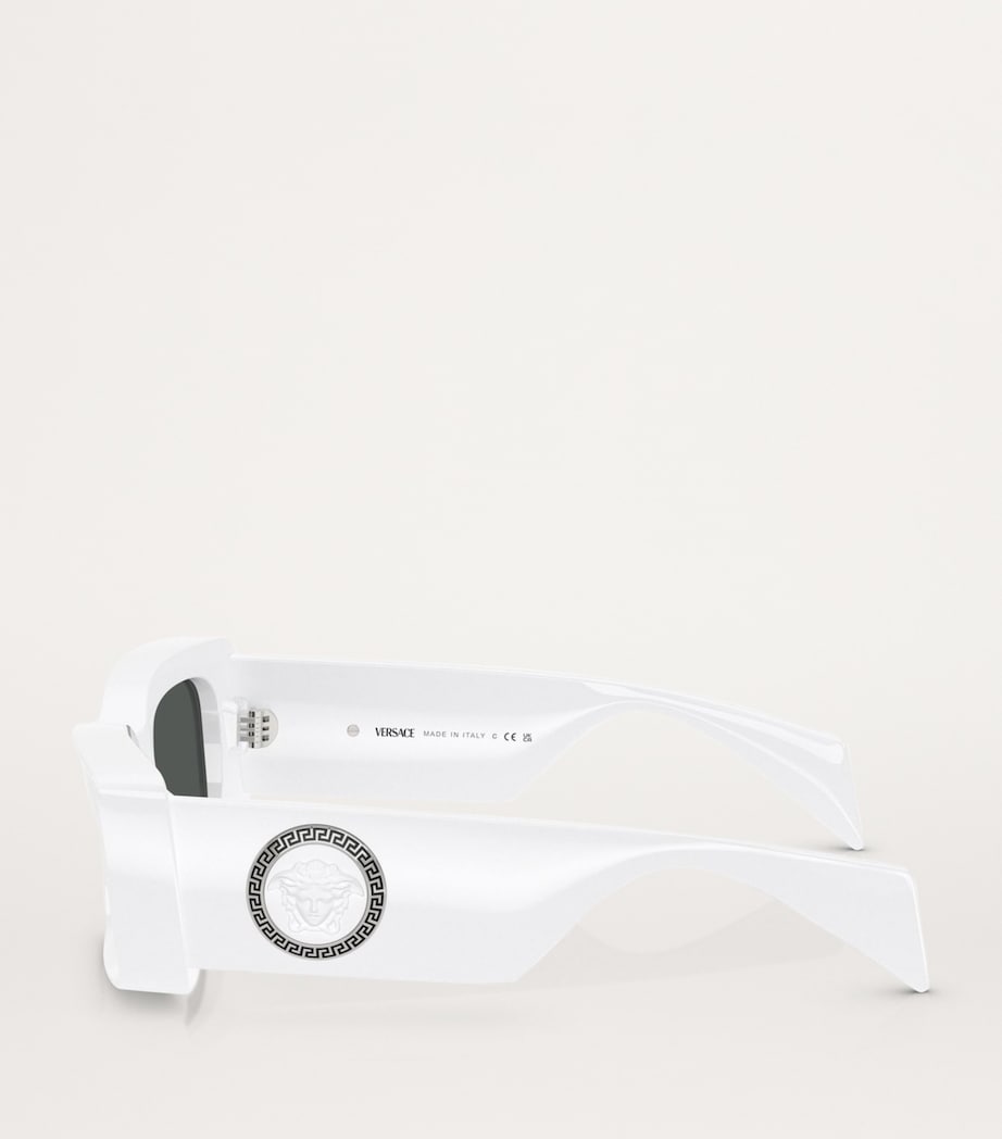 Injected VE4474U Sunglasses 314/87 Image 3