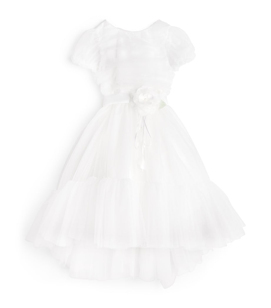 Tulle Ruffled Dress (2-14 Years) CREAM Image 1