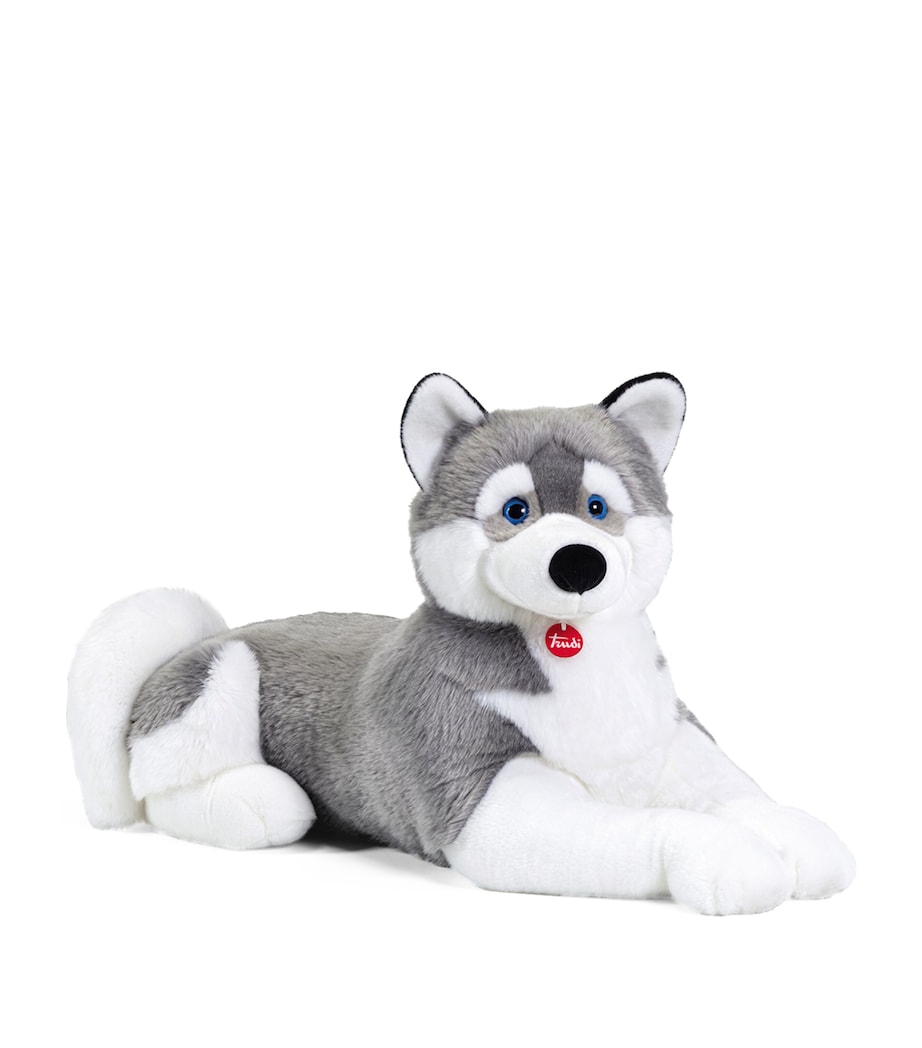 Jumbo Husky Marcus (58cm) MULTI Image 1