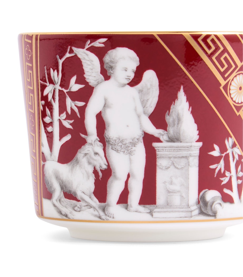 Renaissance Teacup and Saucer RED Image 5