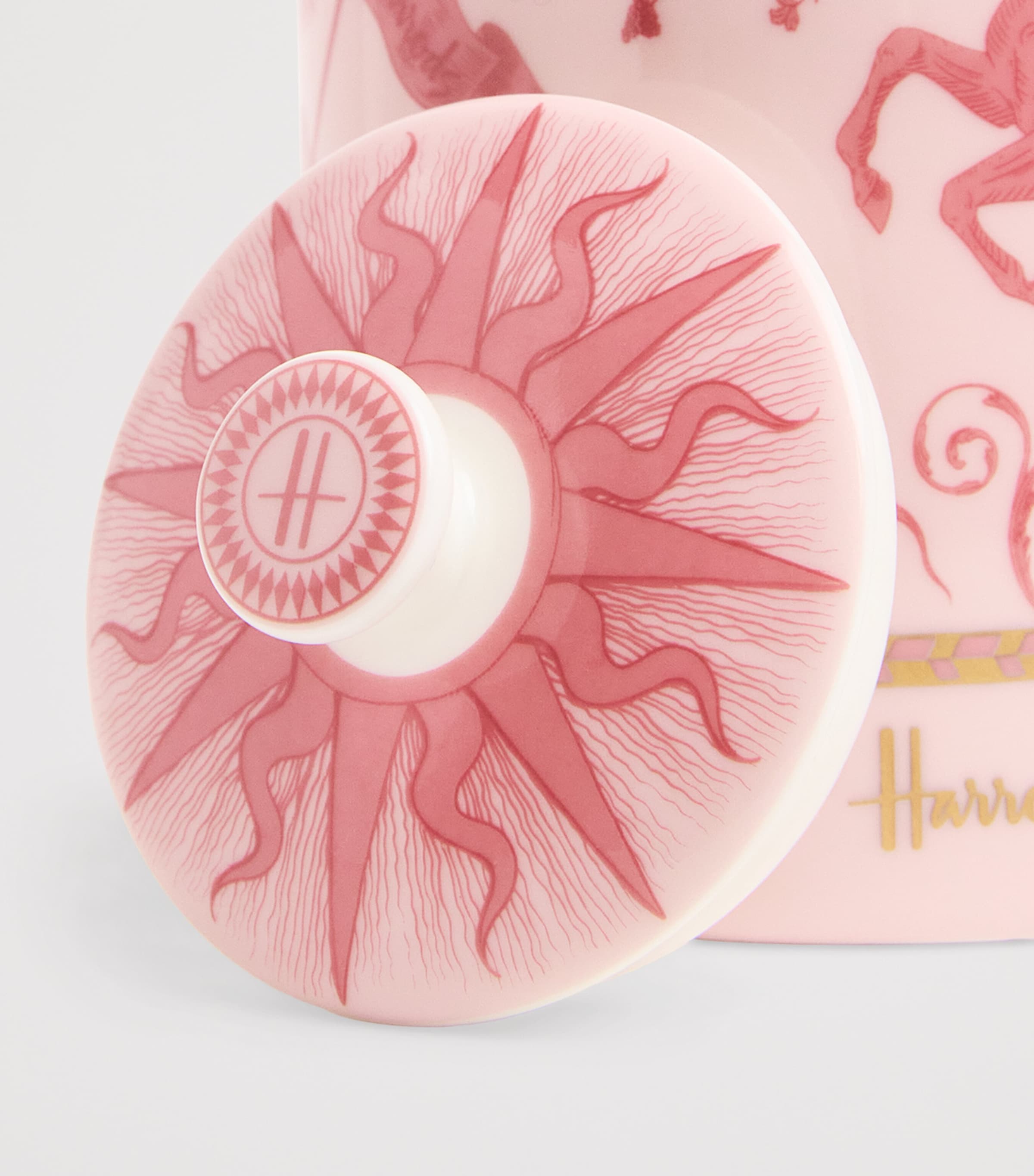 Fine China Menagerie Tea Caddy PINK Image 3