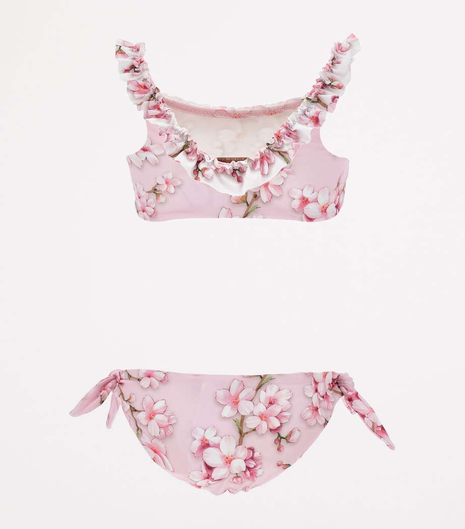 x Disney Bambi Bikini (2-12 Years) ROSA FAIRYTALE Image 2