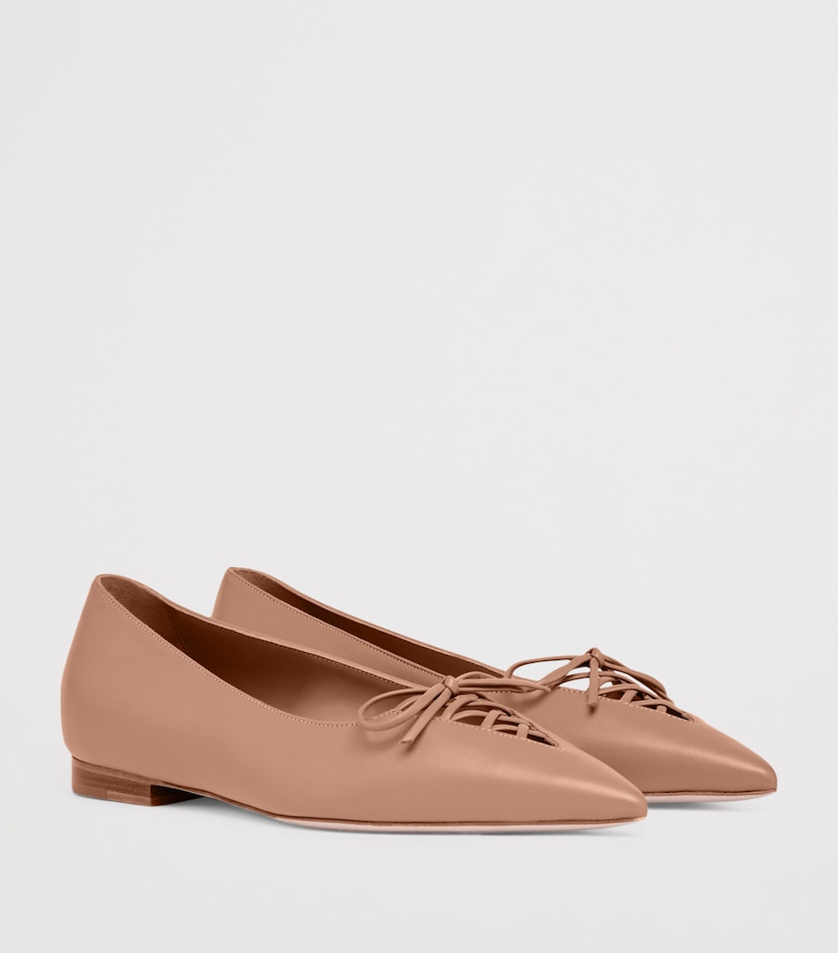 Nappa Leather Hedy Flat Pumps BLUSH Image 3