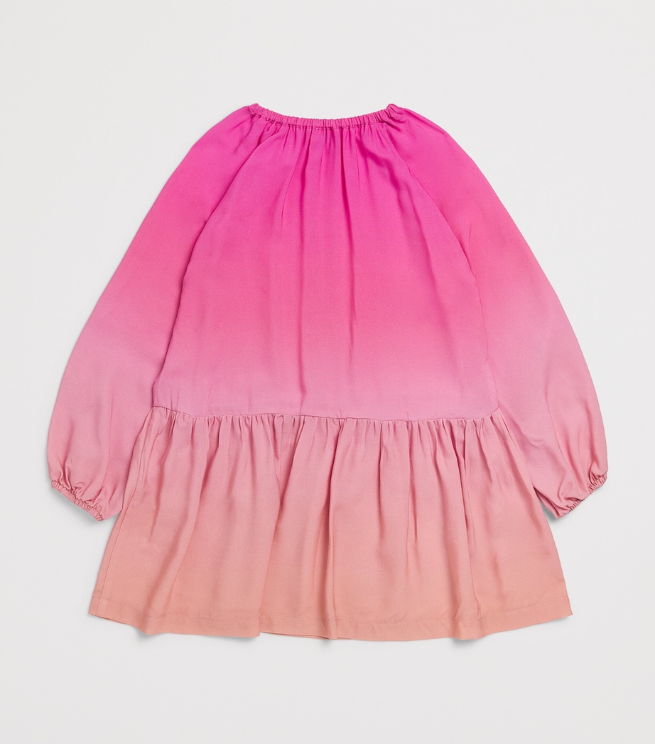 Gradient Long-Sleeve Dress (2-14 Years) 337PINK GRAPEFRUIT Image 2