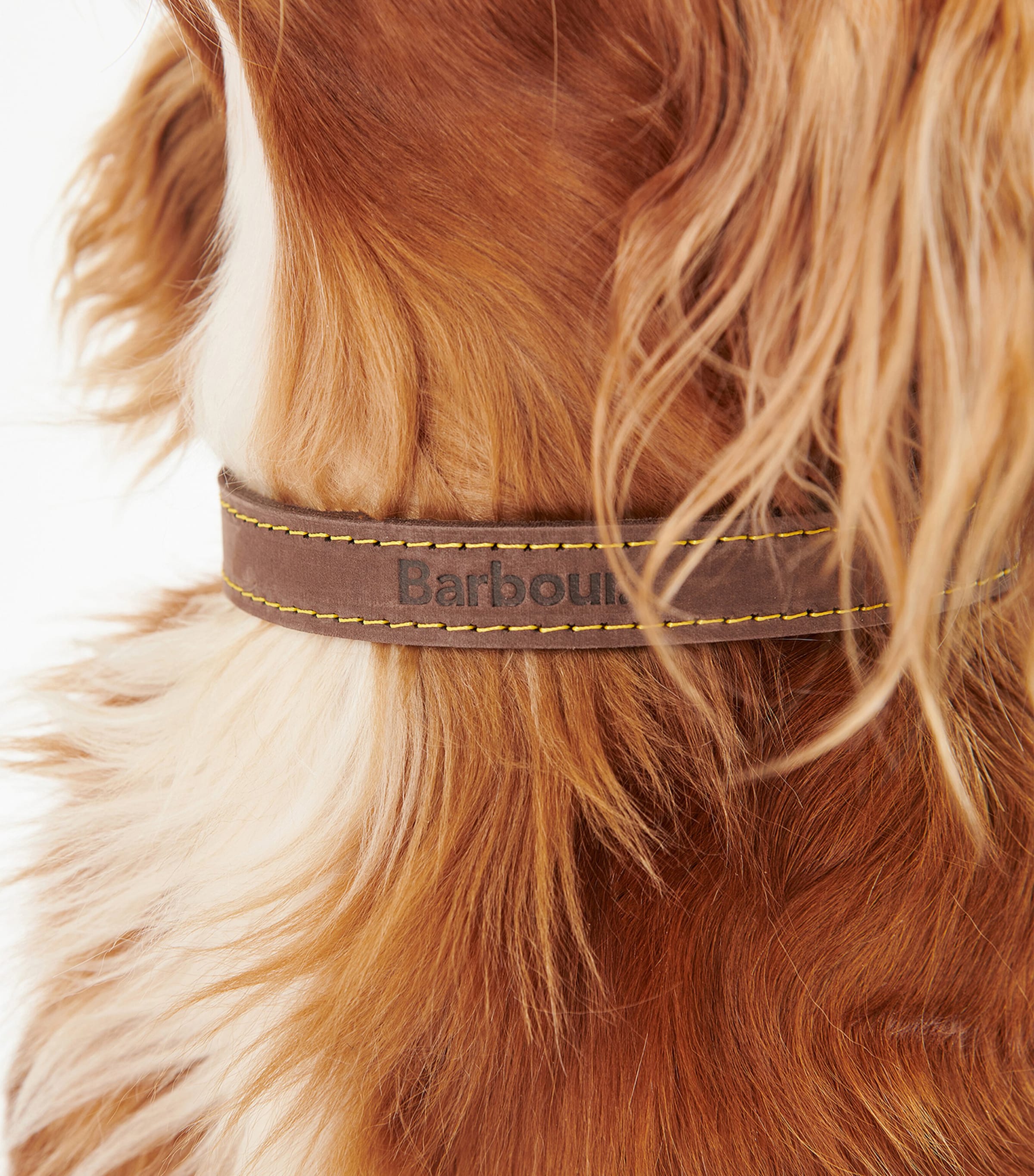 Leather Dog Collar BROWN Image 2