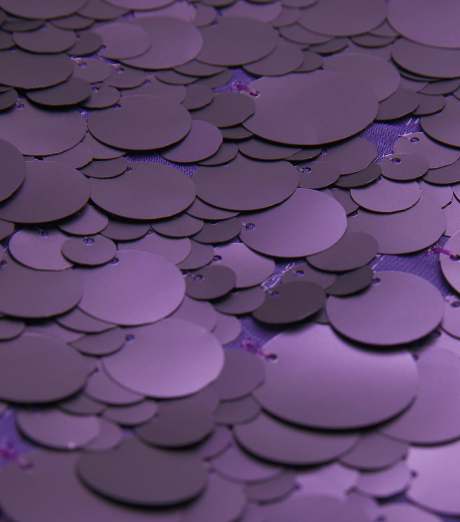 Chiffon Embellished Cambo Midi Skirt VIOLET Image 5