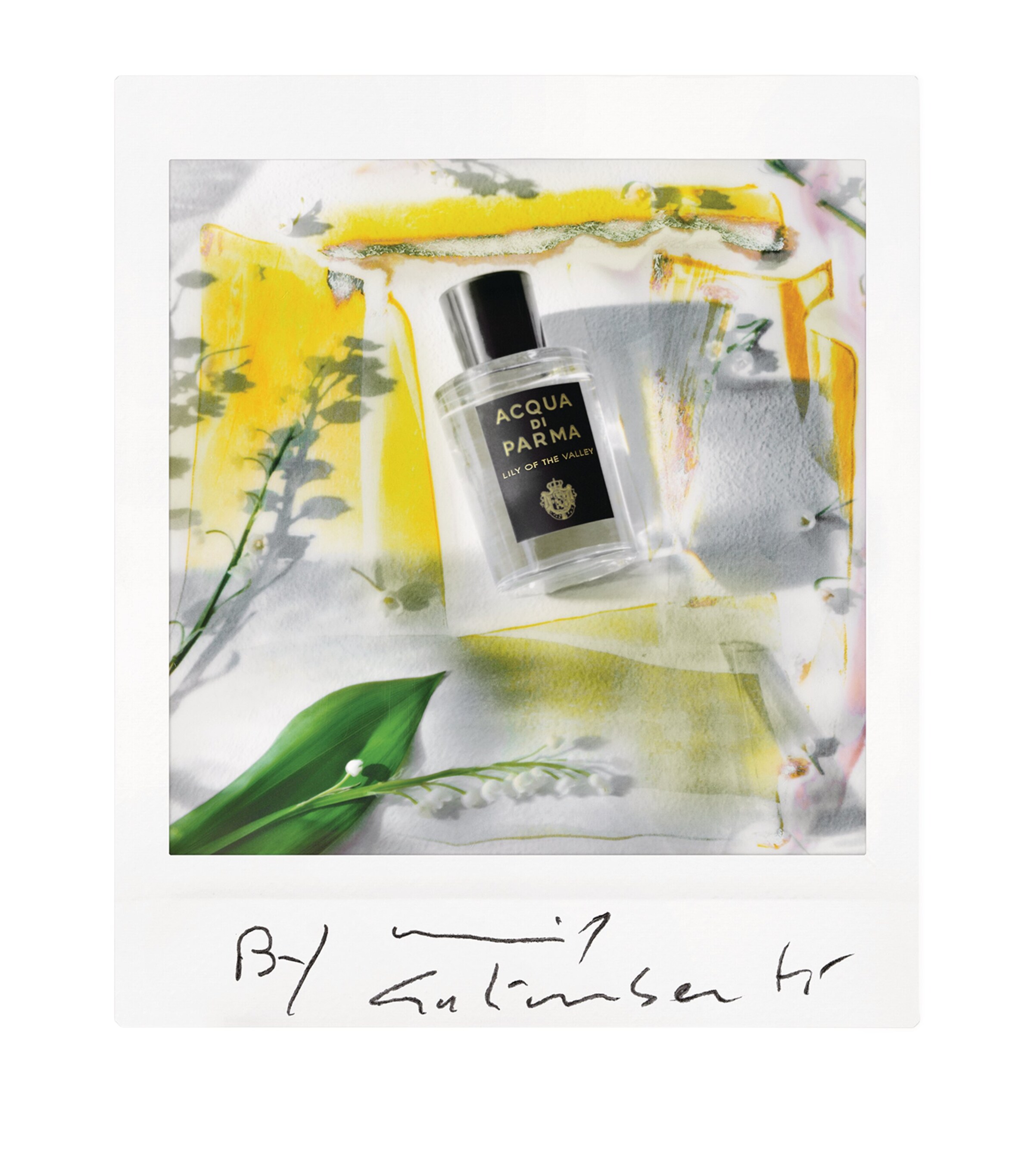 香水(女性用) ACQUA DI PARMA Lily of the valley 100ml Lily Of The Valley Eau De Parfum - Signatures Of The Sun