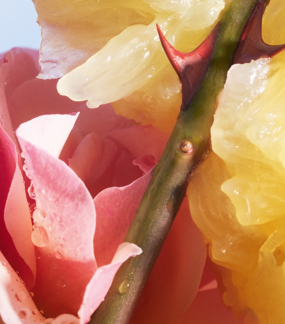 La Petite Robe Noire Eau de Toilette (100ml) NO COLOUR Image 2