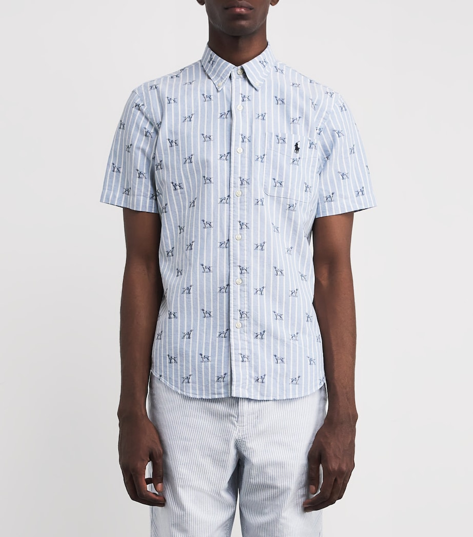 Cotton Oxford Dog Shirt BLUE Image 3