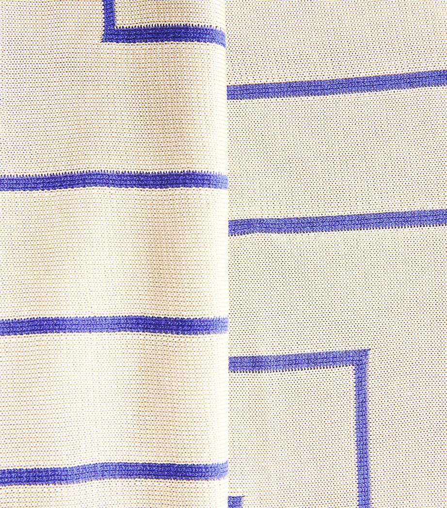 Stripe Jacquard Maxi Skirt COBALT/AFFOGATO Image 5