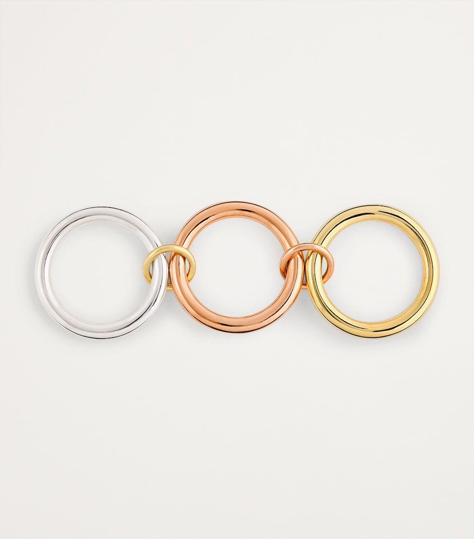 Sterling Silver and Mixed Gold Mercury Ring STERLING SILVER Image 3