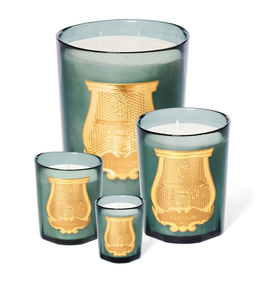 Trudon Figuerie Scented Candle (270g) Blue Image 3