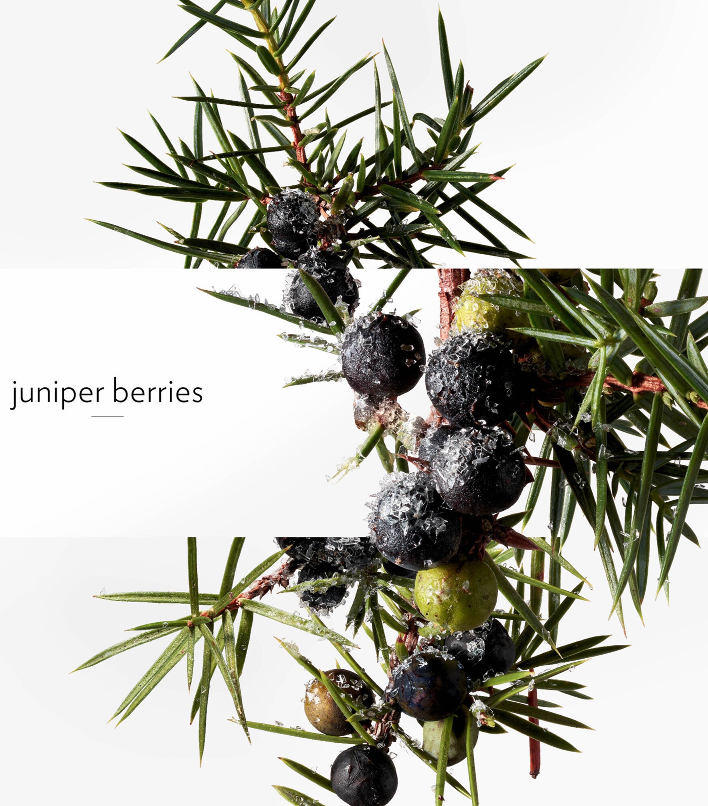 Terre d’Hermès Eau Givrée Eau de Parfum Refill (125ml) NO COLOUR Image 7