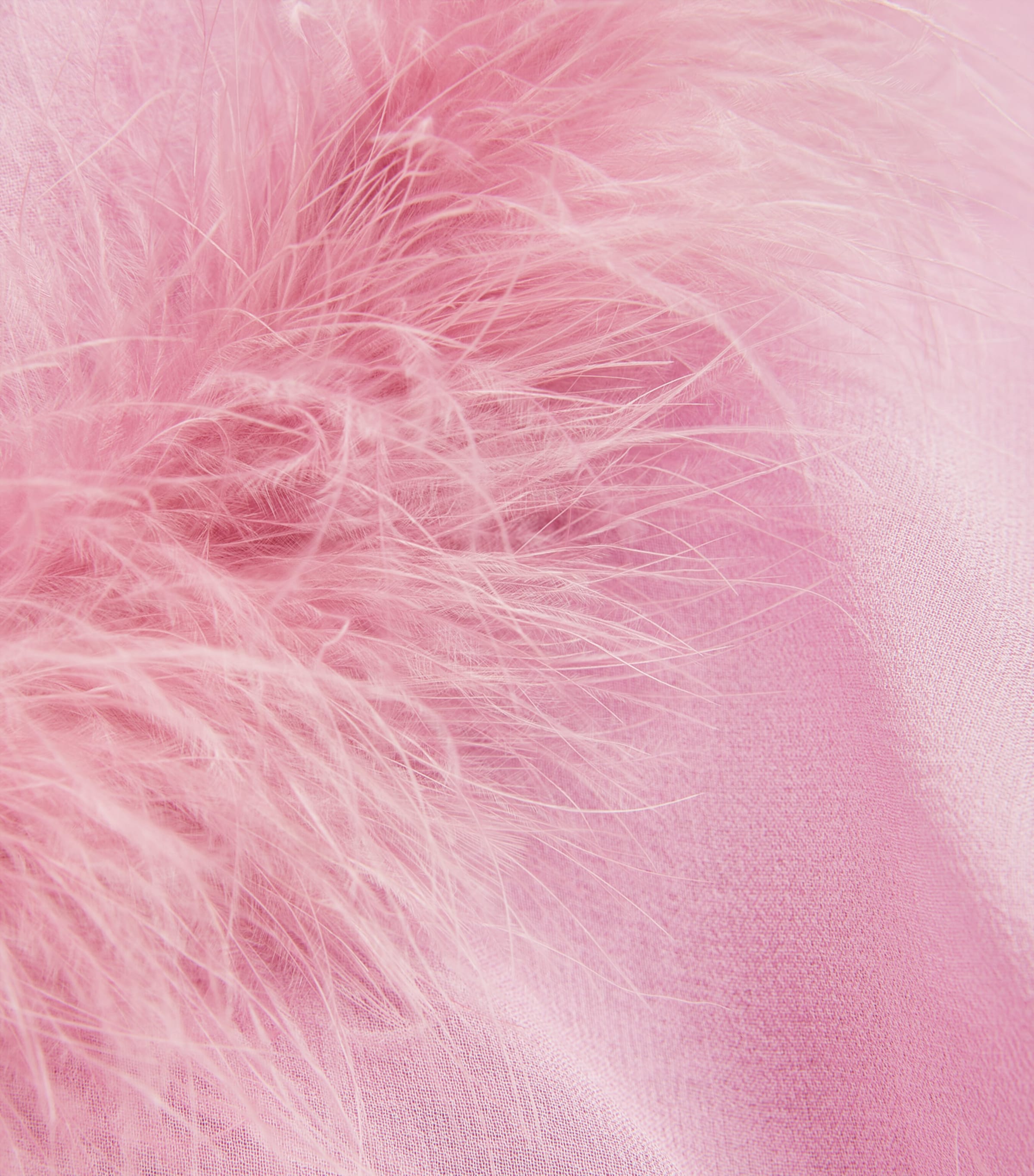 Diana Babydoll Dress BOUDOIR ROSE Image 5