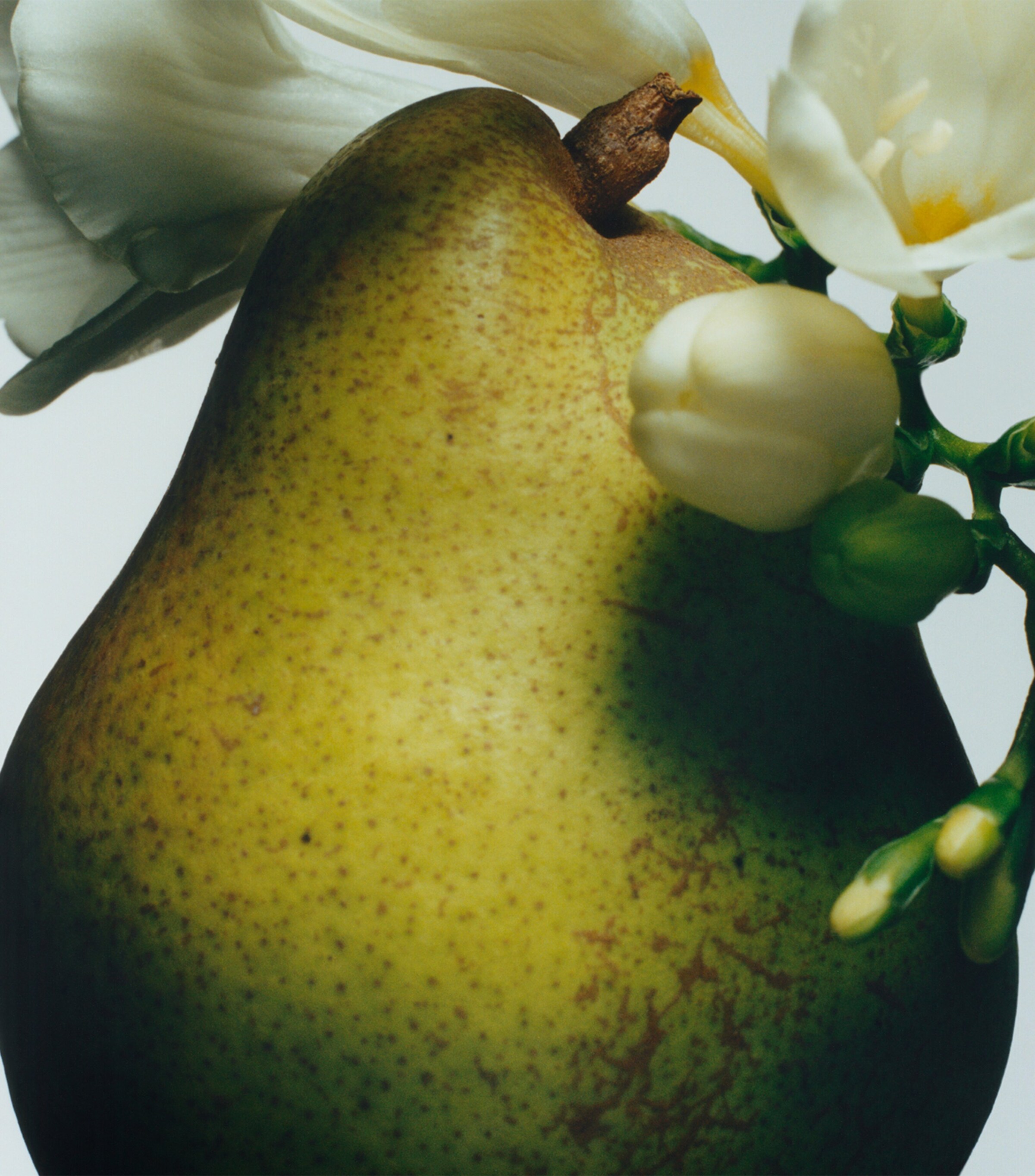 Jo Malone London English Pear & Freesia Hand Cream (30ml) Image 2