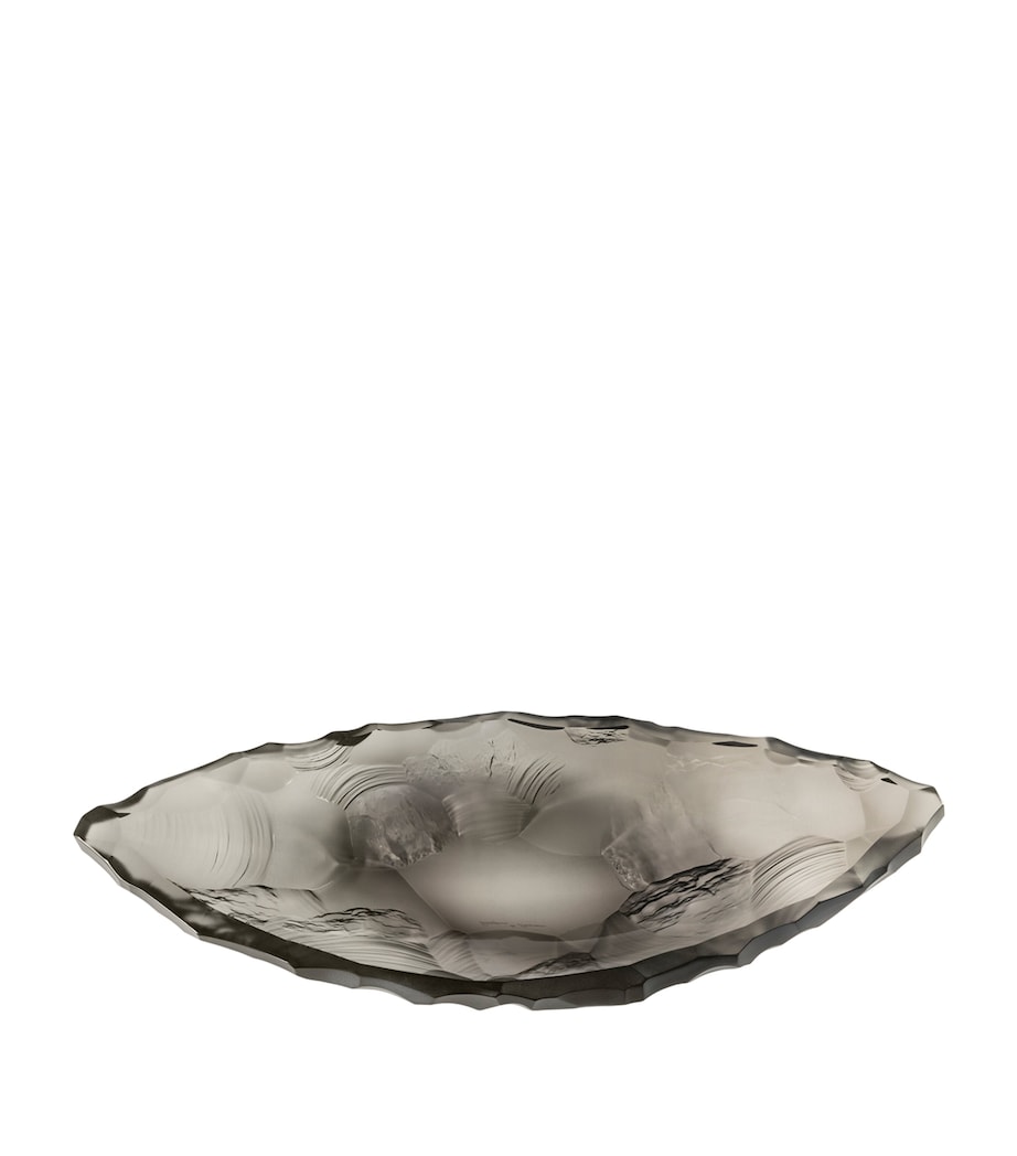 Medium Crystal Silex Bowl (46cm) GRIS Image 1