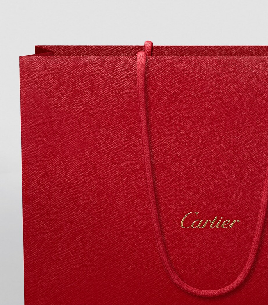 Small Leather Panthère de Cartier Shoulder Bag BURGUNDY Image 8