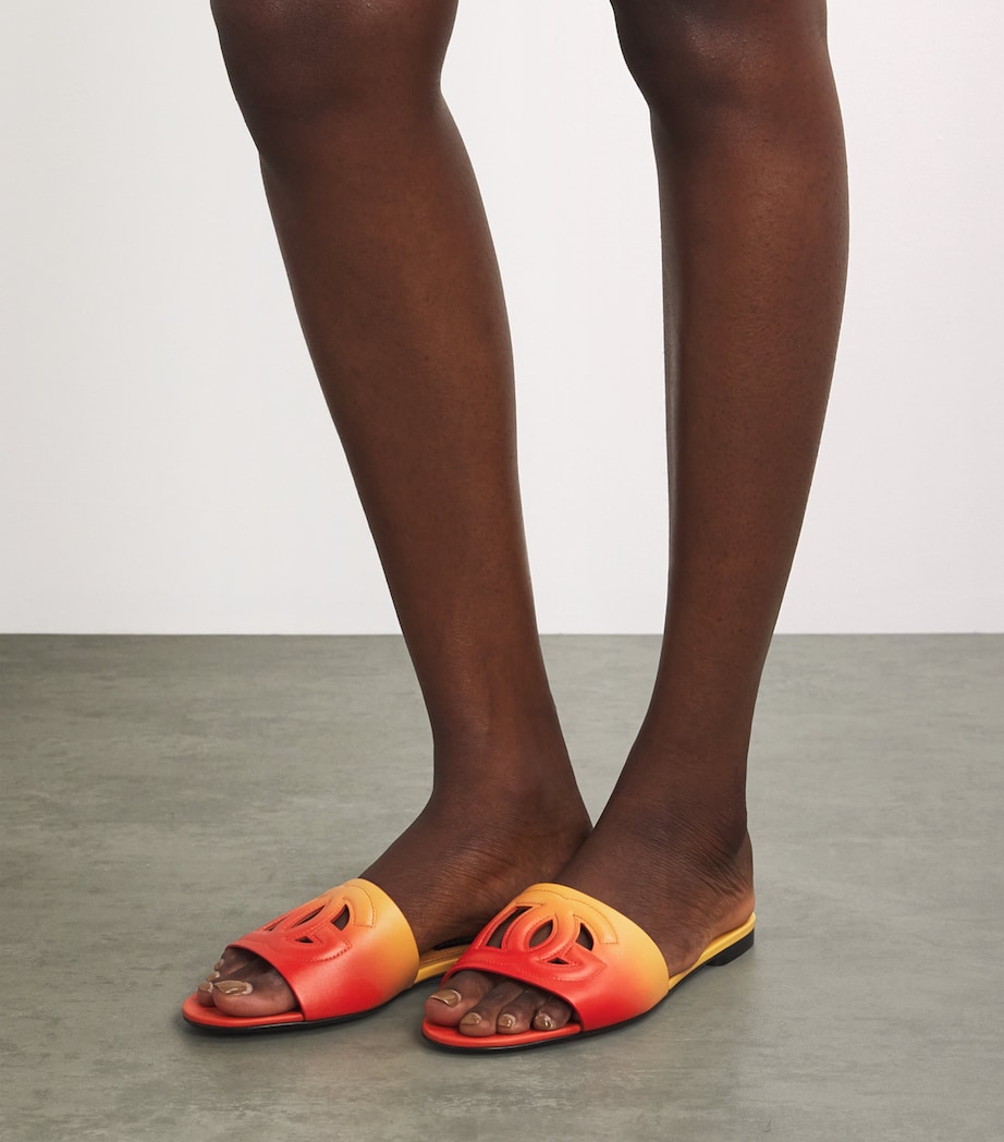Leather DG Slides HO5AC-DG DEGRADE' AR Image 2