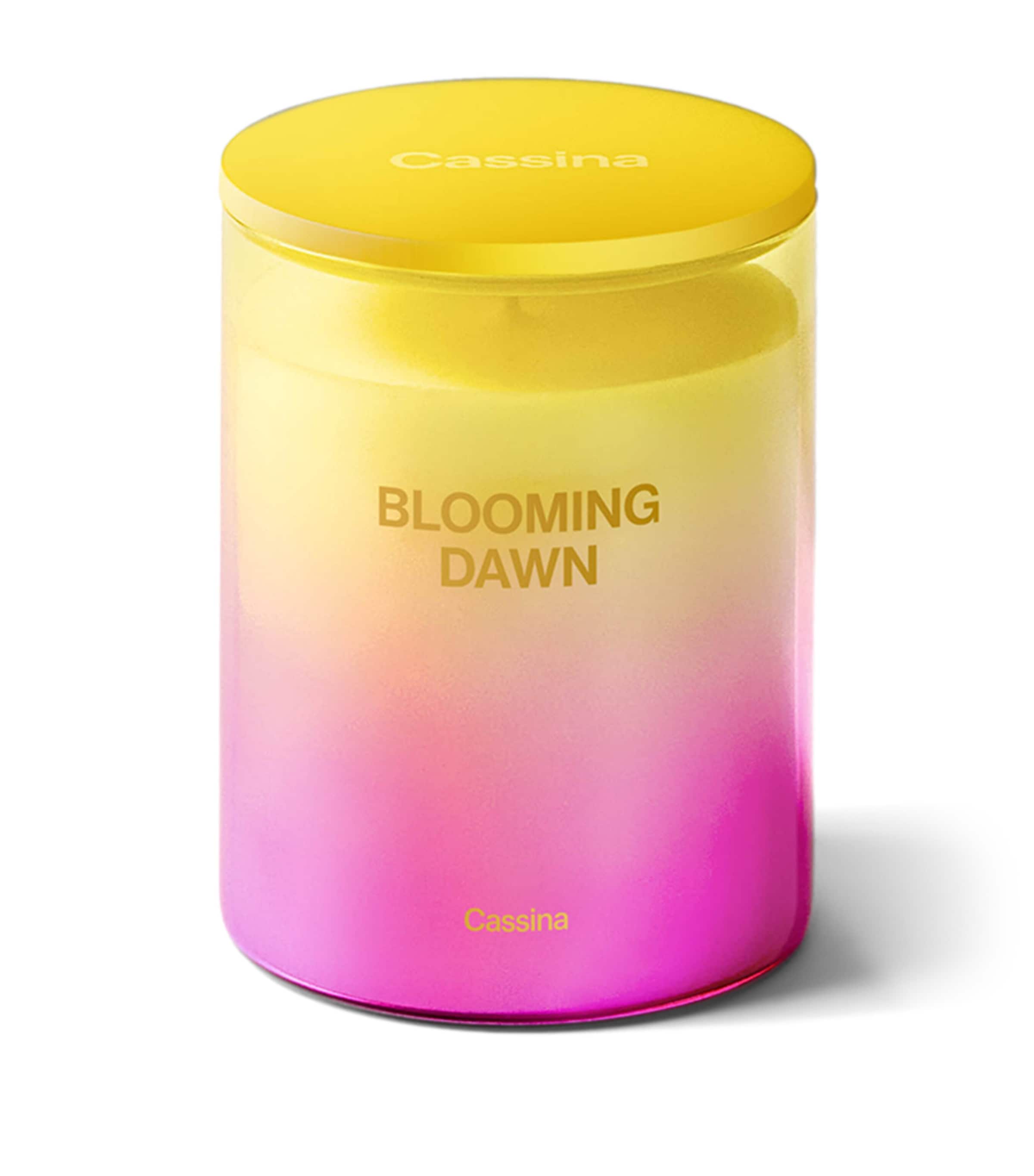 Blooming Dawn Candle (330g) MULTI Image 2