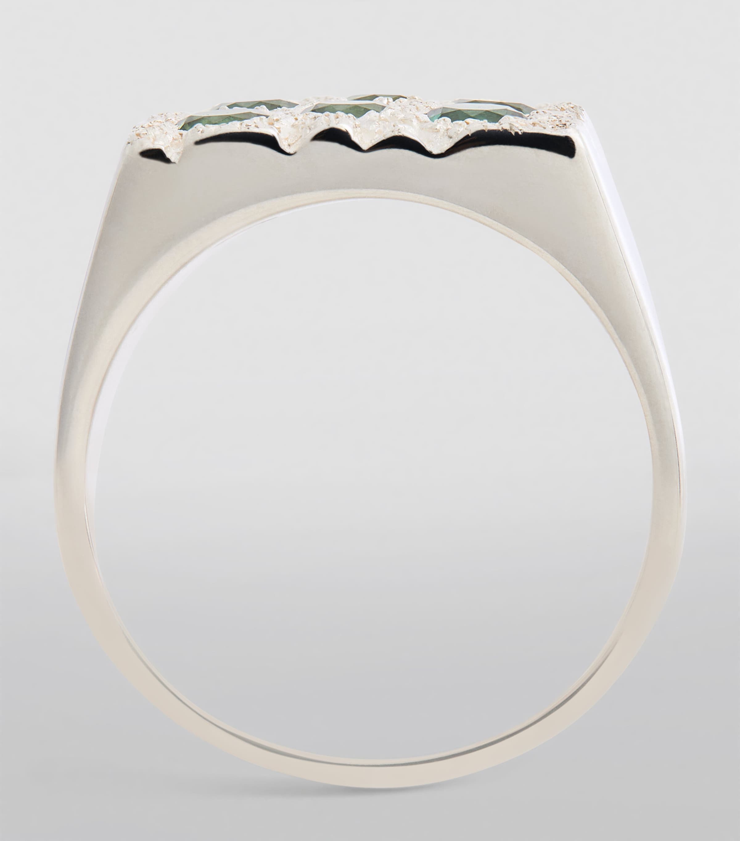 EXCLUSIVE Sterling Silver Rose Garden Signet Ring SILVER (925) Image 2