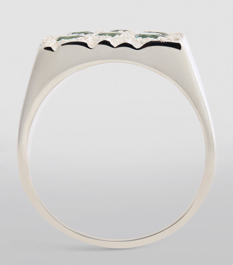 EXCLUSIVE Sterling Silver Rose Garden Signet Ring SILVER (925) Image 2