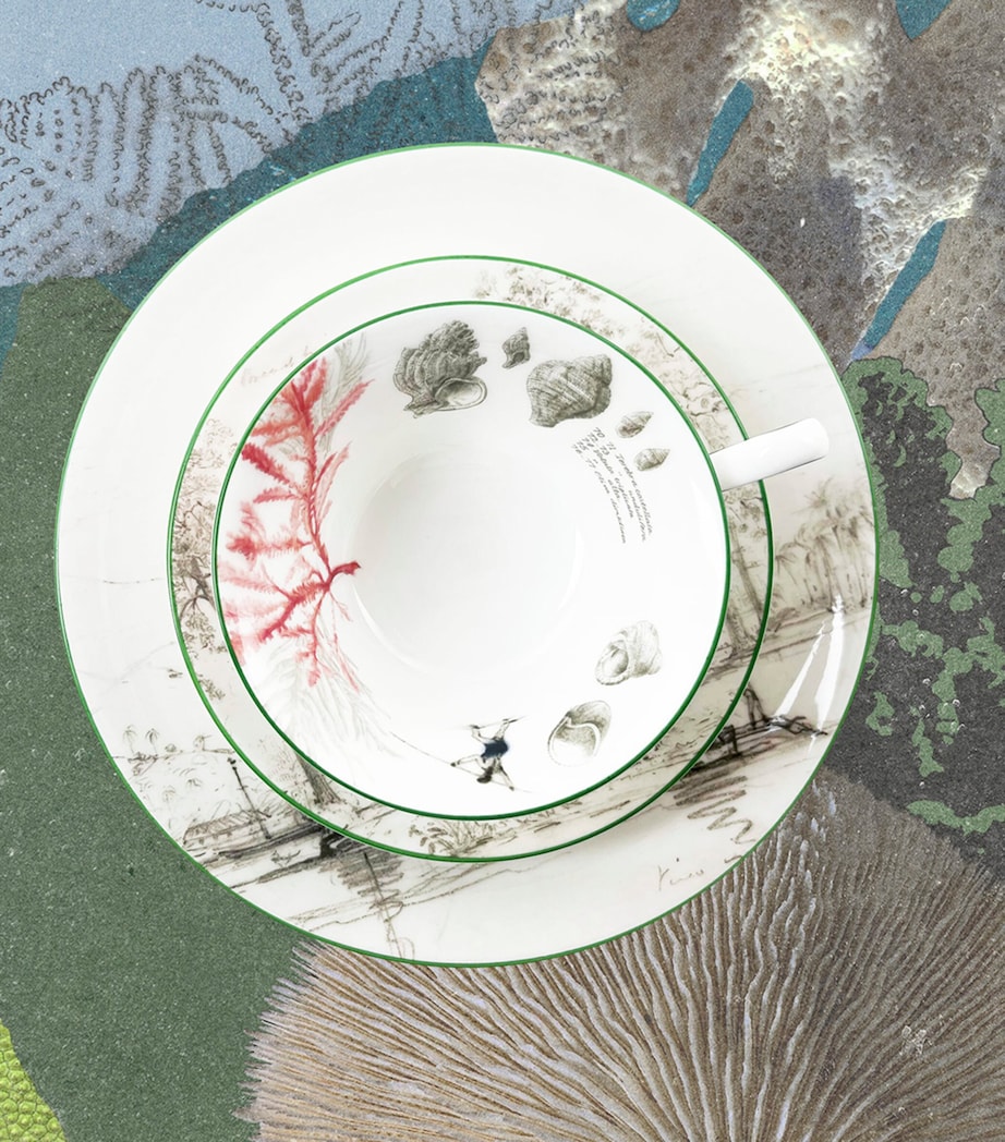 Voyage of the Beagle Tahiti Plate, Teacup and Saucer Set MULTI Image 3