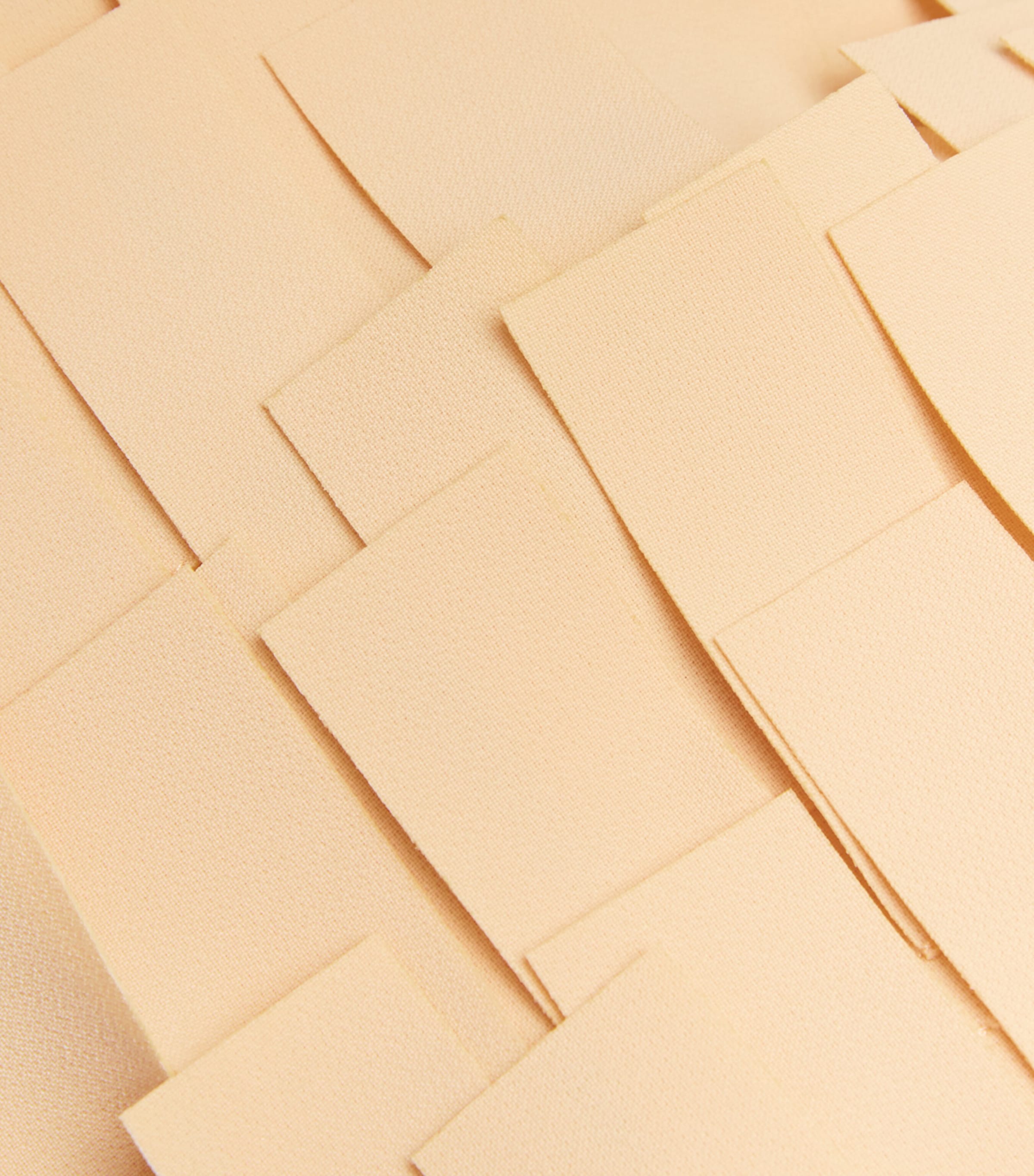 Fringed Crop Top NUDE Image 5