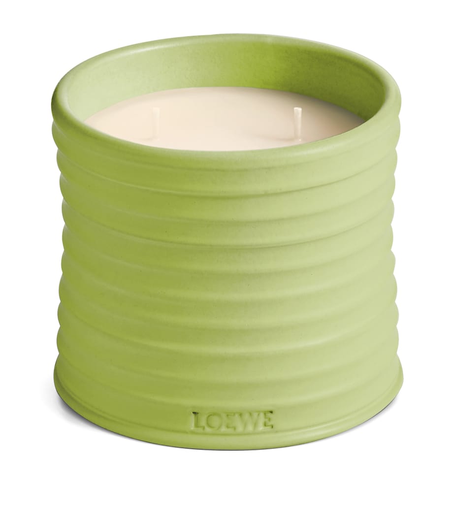 Medium Cucumber Scented Candle NO COLOUR Image 6
