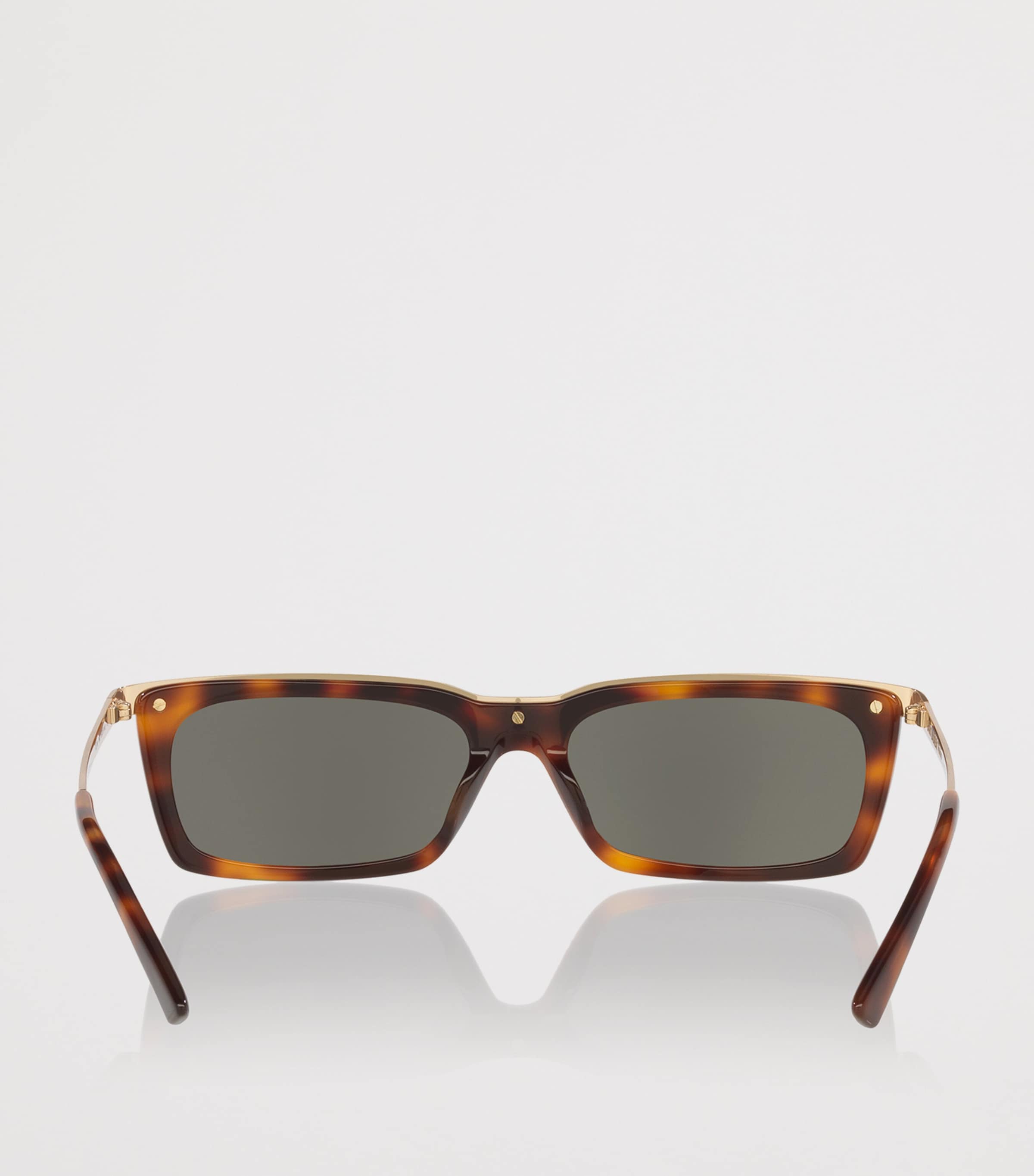 Acetate Rectangle Sunglasses 4402L1 Image 4