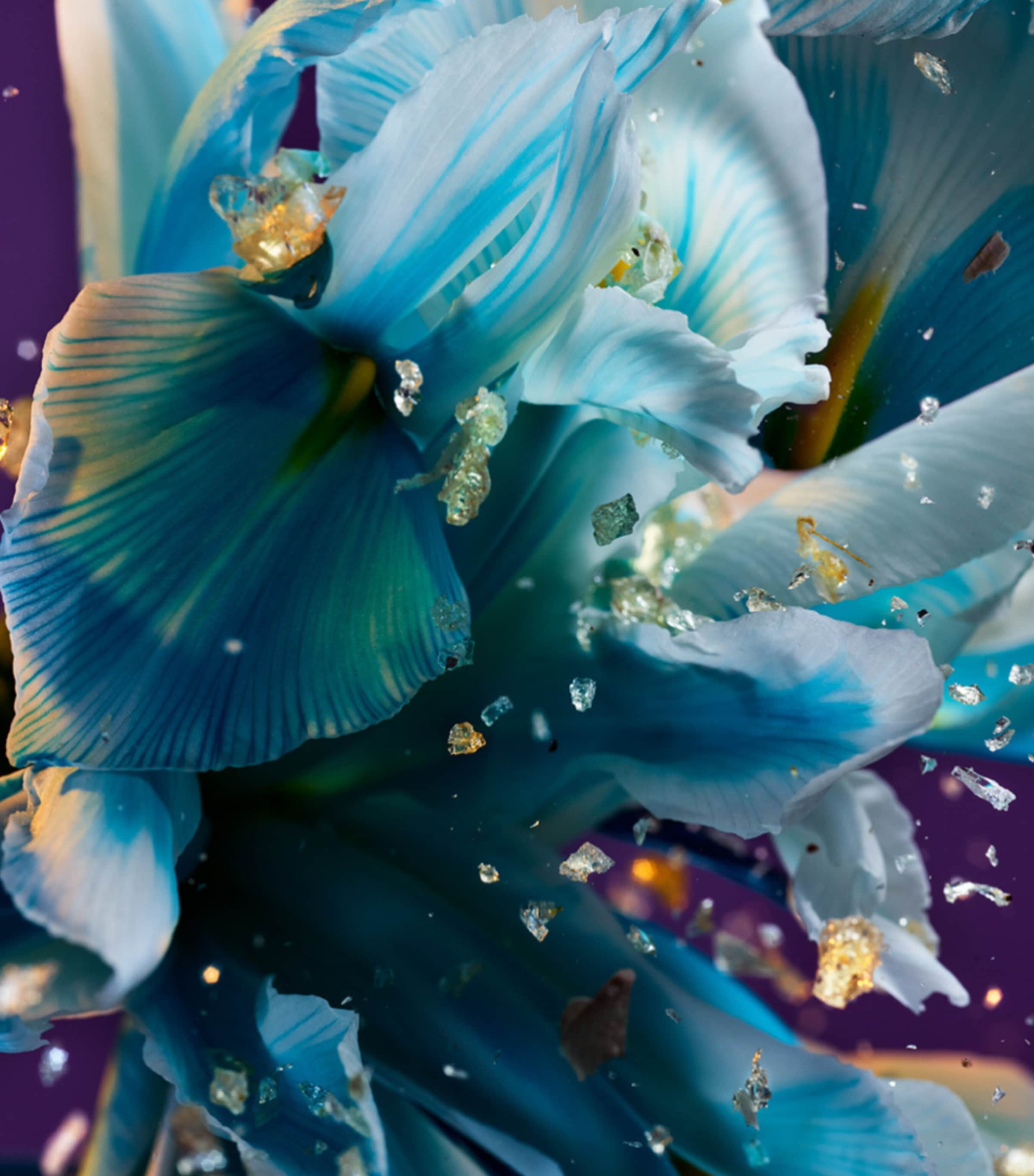 Allegra Spettacolore Eau de Parfum NO COLOUR Image 2