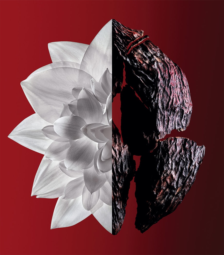 L’Interdit Rouge Ultime Eau de Parfum (80ml) NO COLOUR Image 2