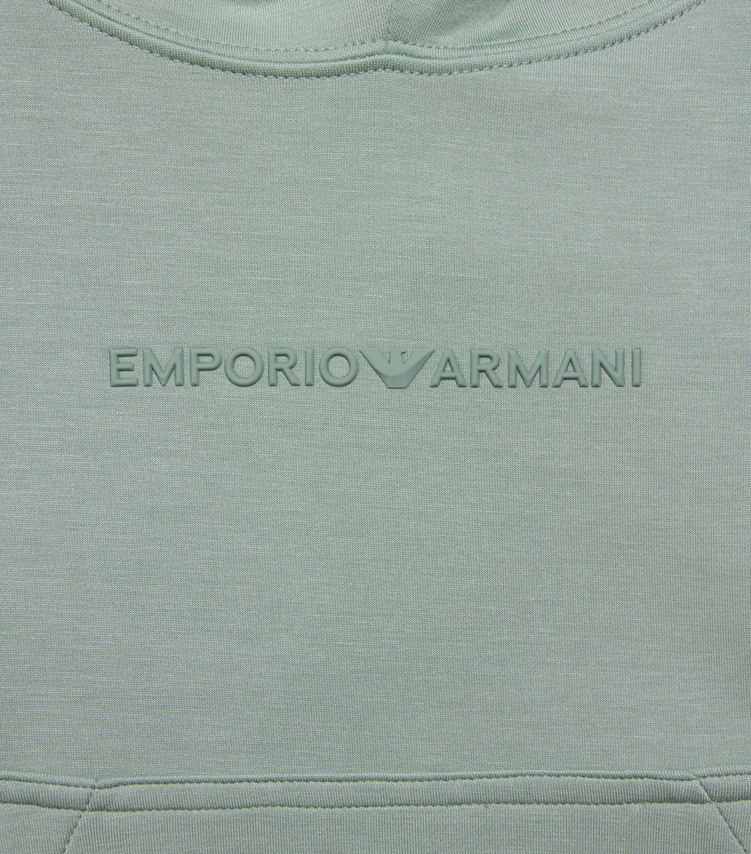 Emporio Armani Kids Cotton Logo Hoodie (4-16 Years) Iceberg Green Image 3