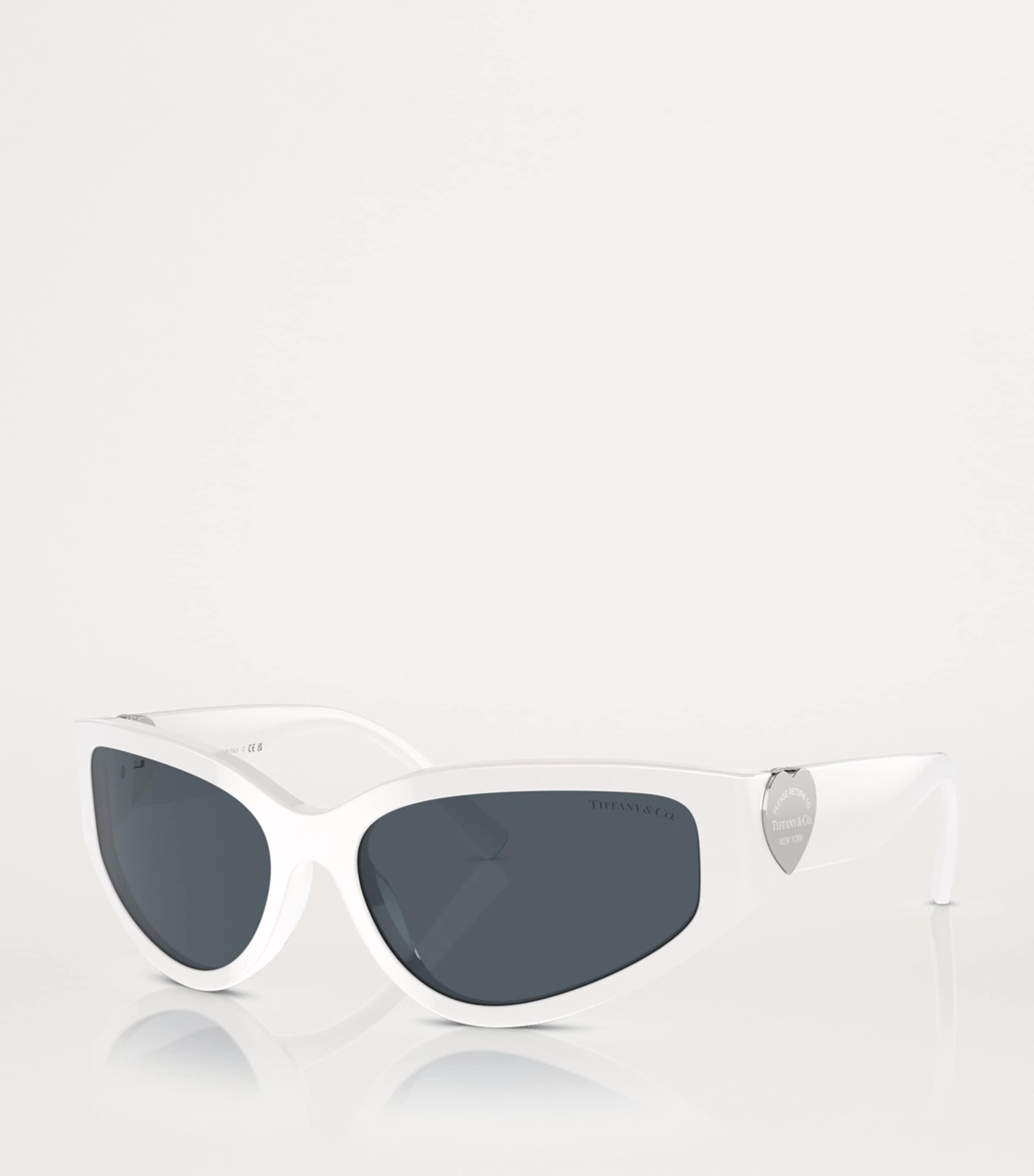 Acetate Oval Sunglasses 839287 Image 2