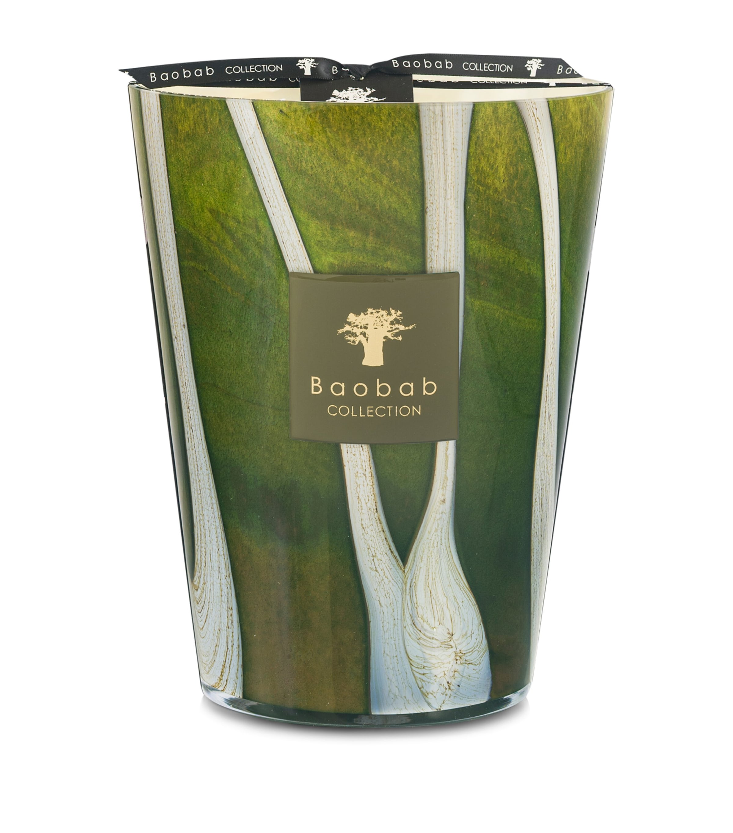 Baobab Collection Sherwood Woods Candle In Green